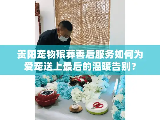 贵阳宠物殡葬善后服务如何为爱宠送上最后的温暖告别？