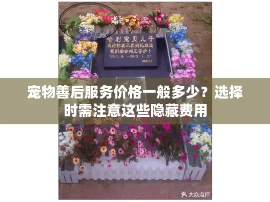 宠物善后服务价格一般多少?选择时需注意这些隐藏费用 宠物善后服务价格一般多少?选择时需注意这些隐藏费用
