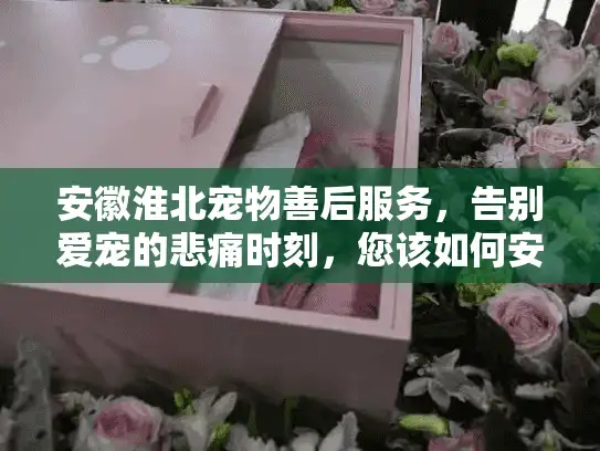 安徽淮北宠物善后服务,告别爱宠的悲痛时刻,您该如何安心处理? 安徽淮北宠物善后服务,告别爱宠的悲痛时刻,您该如何安心处理?