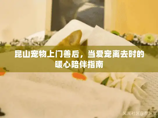 昆山宠物上门善后，当爱宠离去时的暖心陪伴指南