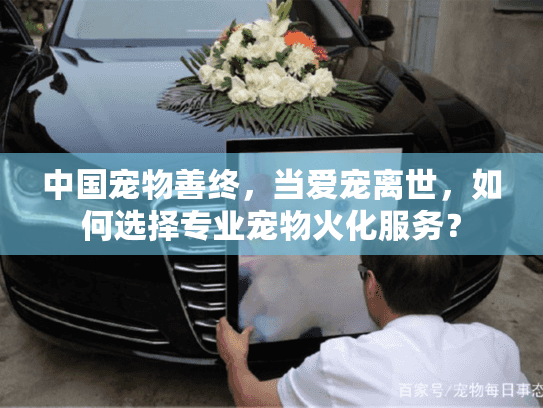 中国宠物善终，当爱宠离世，如何选择专业宠物火化服务？