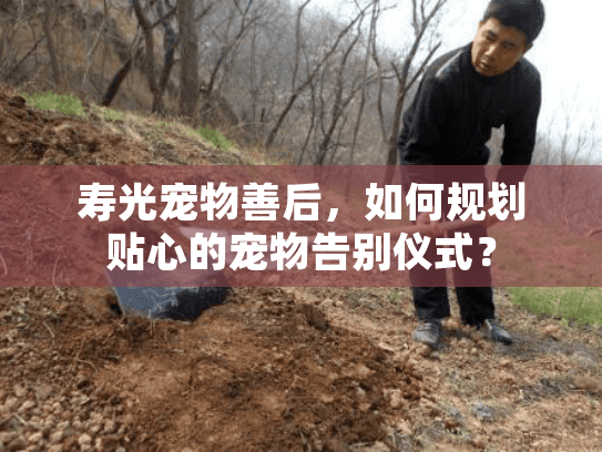 寿光宠物善后，如何规划贴心的宠物告别仪式？