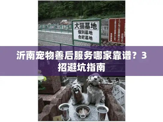 沂南宠物善后服务哪家靠谱？3招避坑指南