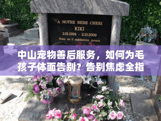 中山宠物善后服务，如何为毛孩子体面告别？告别焦虑全指南