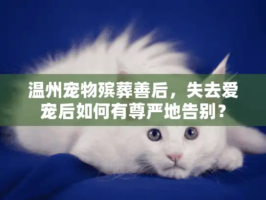 温州宠物殡葬善后，失去爱宠后如何有尊严地告别？