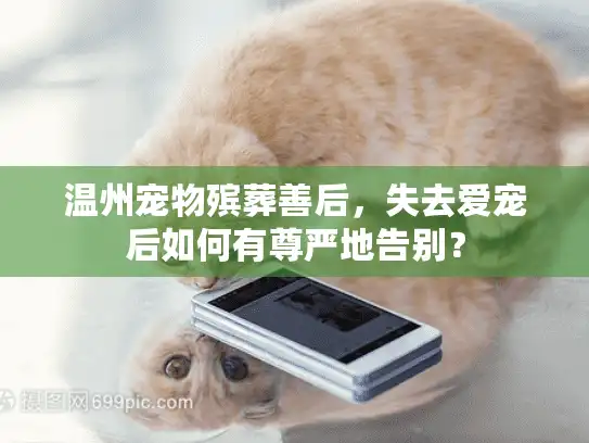 温州宠物殡葬善后，失去爱宠后如何有尊严地告别？