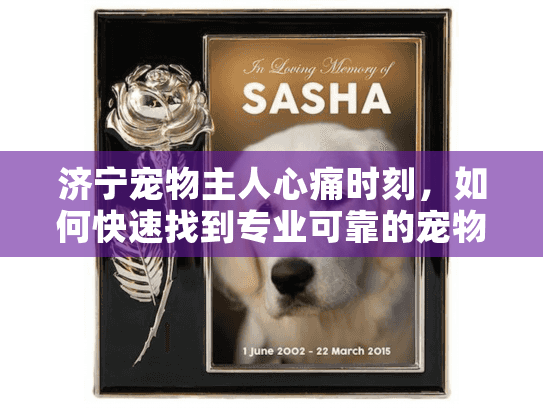 济宁宠物主人心痛时刻，如何快速找到专业可靠的宠物善后服务