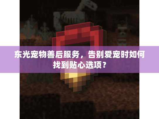 东光宠物善后服务，告别爱宠时如何找到贴心选项？