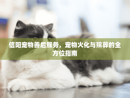 信阳宠物善后服务，宠物火化与殡葬的全方位指南