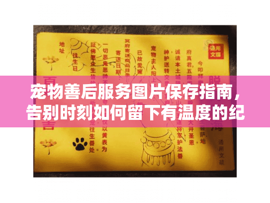 宠物善后服务图片保存指南，告别时刻如何留下有温度的纪念