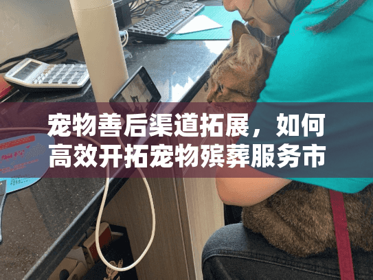 宠物善后渠道拓展，如何高效开拓宠物殡葬服务市场？