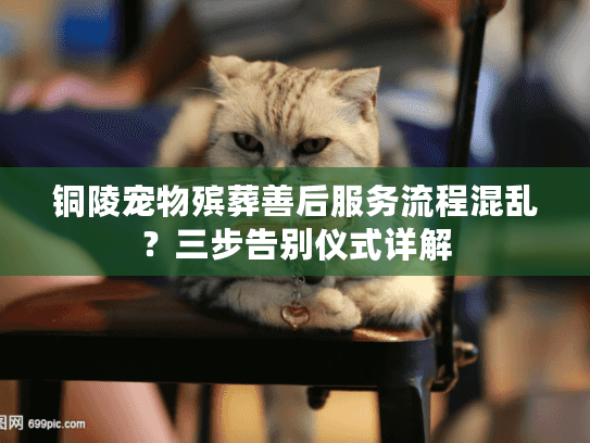 铜陵宠物殡葬善后服务流程混乱?三步告别仪式详解 铜陵宠物殡葬善后服务流程混乱?三步告别仪式详解