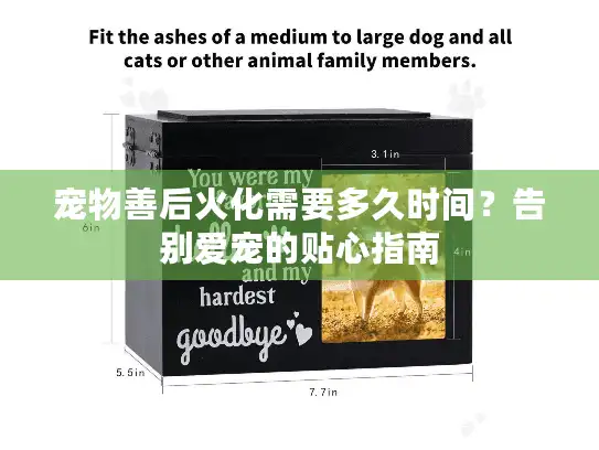 宠物善后火化需要多久时间？告别爱宠的贴心指南