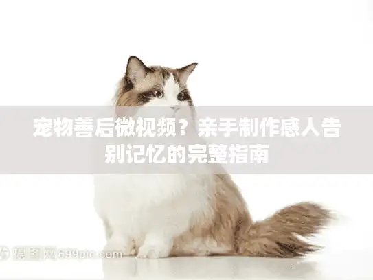 宠物善后微视频？亲手制作感人告别记忆的完整指南