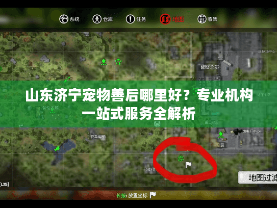 山东济宁宠物善后哪里好？专业机构一站式服务全解析