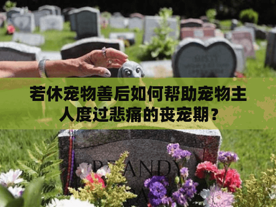 若休宠物善后如何帮助宠物主人度过悲痛的丧宠期？