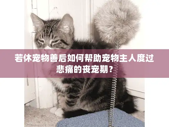 若休宠物善后如何帮助宠物主人度过悲痛的丧宠期？