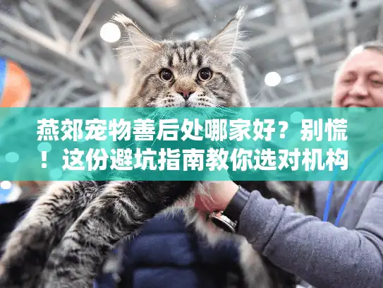 燕郊宠物善后处哪家好？别慌！这份避坑指南教你选对机构