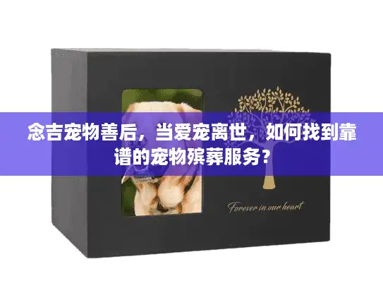 念吉宠物善后，当爱宠离世，如何找到靠谱的宠物殡葬服务？