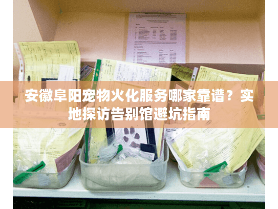 安徽阜阳宠物火化服务哪家靠谱？实地探访告别馆避坑指南