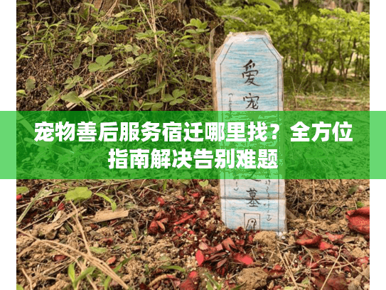 宠物善后服务宿迁哪里找？全方位指南解决告别难题