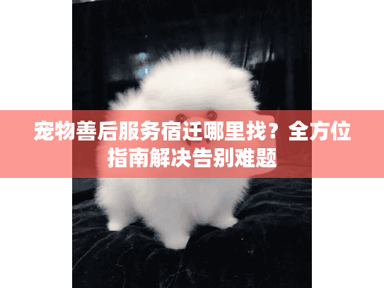 宠物善后服务宿迁哪里找？全方位指南解决告别难题