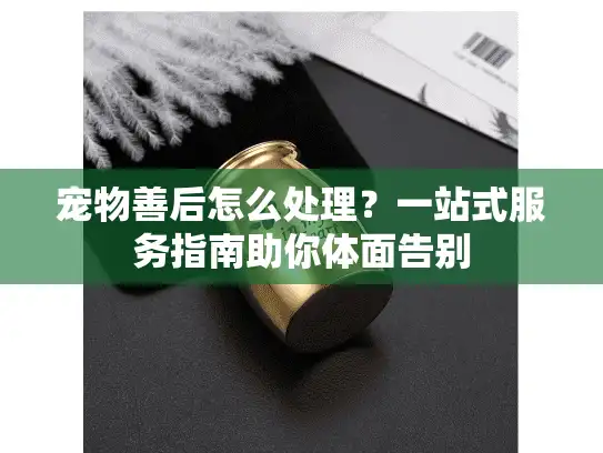 宠物善后怎么处理？一站式服务指南助你体面告别