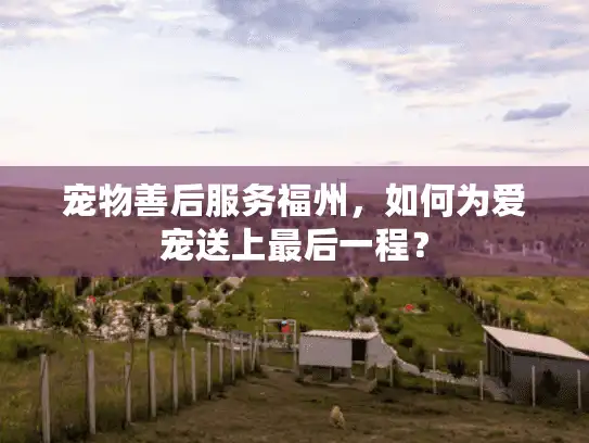 宠物善后服务福州，如何为爱宠送上最后一程？
