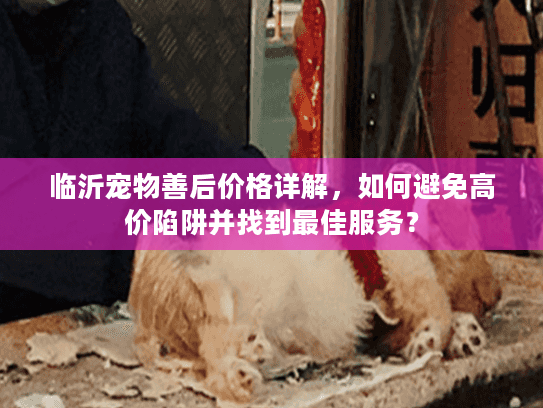 临沂宠物善后价格详解，如何避免高价陷阱并找到最佳服务？