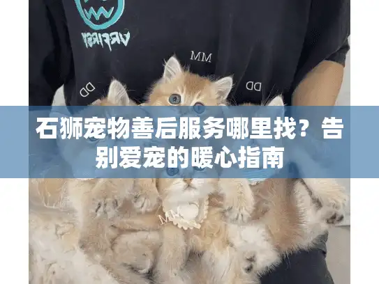 石狮宠物善后服务哪里找?告别爱宠的暖心指南 石狮宠物善后服务哪里找?告别爱宠的暖心指南