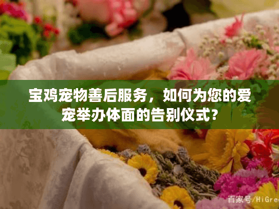 宝鸡宠物善后服务，如何为您的爱宠举办体面的告别仪式？