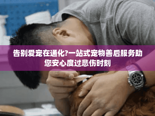 告别爱宠在通化?一站式宠物善后服务助您安心度过悲伤时刻