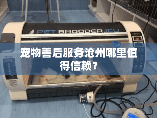 宠物善后服务沧州哪里值得信赖？