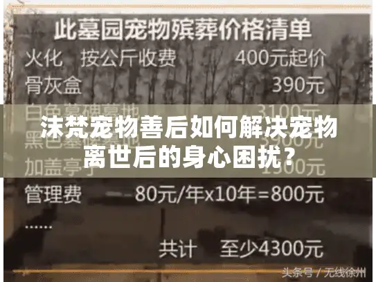沫梵宠物善后如何解决宠物离世后的身心困扰? 沫梵宠物善后如何解决宠物离世后的身心困扰?