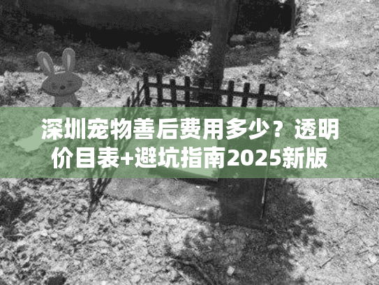深圳宠物善后费用多少？透明价目表+避坑指南2025新版