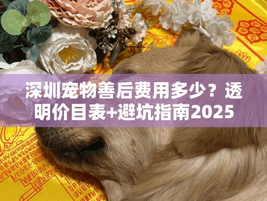 深圳宠物善后费用多少？透明价目表+避坑指南2025新版