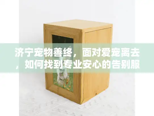 济宁宠物善终,面对爱宠离去,如何找到专业安心的告别服务? 济宁宠物善终,面对爱宠离去,如何找到专业安心的告别服务?