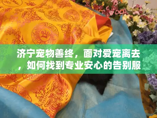 济宁宠物善终,面对爱宠离去,如何找到专业安心的告别服务? 济宁宠物善终,面对爱宠离去,如何找到专业安心的告别服务?