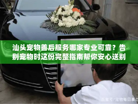 汕头宠物善后服务哪家专业可靠?告别宠物时这份完整指南帮你安心送别 汕头宠物善后服务哪家专业可靠?告别宠物时这份完整指南帮你安心送别