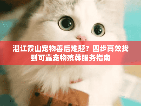 湛江霞山宠物善后难题？四步高效找到可靠宠物殡葬服务指南