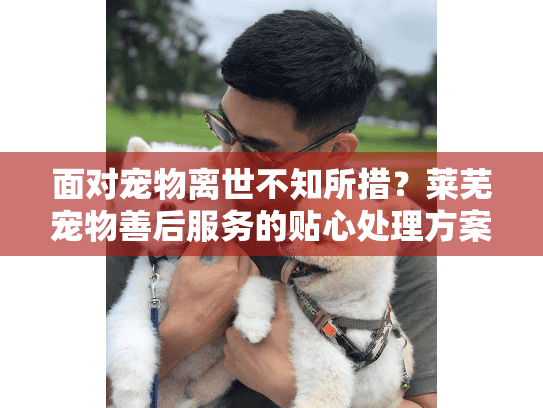 面对宠物离世不知所措？莱芜宠物善后服务的贴心处理方案