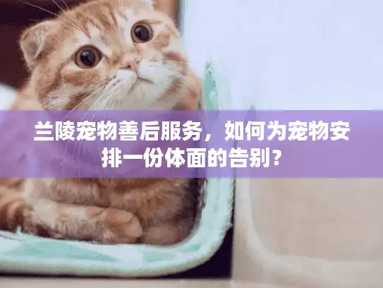 兰陵宠物善后服务，如何为宠物安排一份体面的告别？
