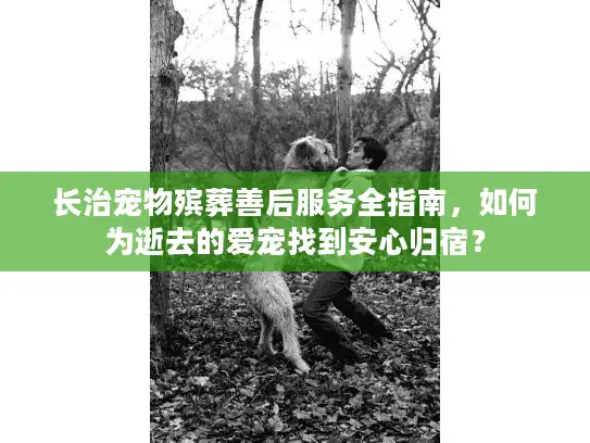 长治宠物殡葬善后服务全指南，如何为逝去的爱宠找到安心归宿？