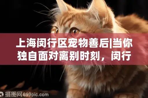 上海闵行区宠物善后|当你独自面对离别时刻，闵行区家庭首选方案是什么？