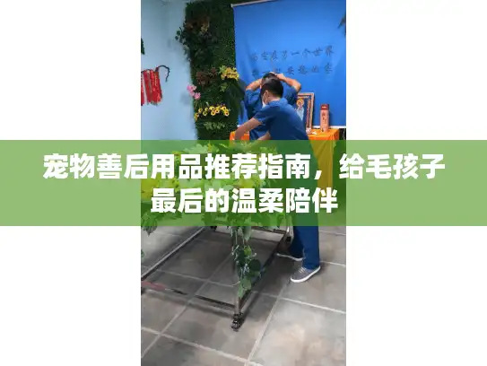 宠物善后用品推荐指南，给毛孩子最后的温柔陪伴