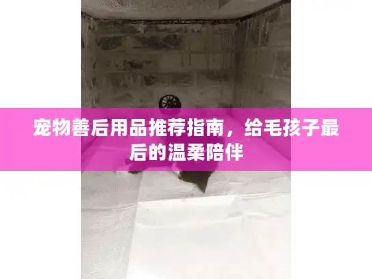 宠物善后用品推荐指南，给毛孩子最后的温柔陪伴