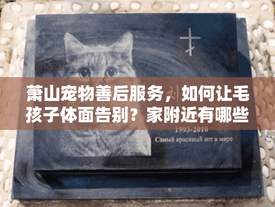 萧山宠物善后服务，如何让毛孩子体面告别？家附近有哪些靠谱机构