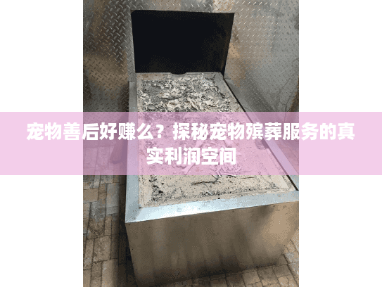 宠物善后好赚么?探秘宠物殡葬服务的真实利润空间 宠物善后好赚么?探秘宠物殡葬服务的真实利润空间