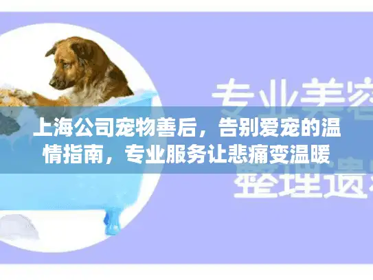 上海公司宠物善后，告别爱宠的温情指南，专业服务让悲痛变温暖