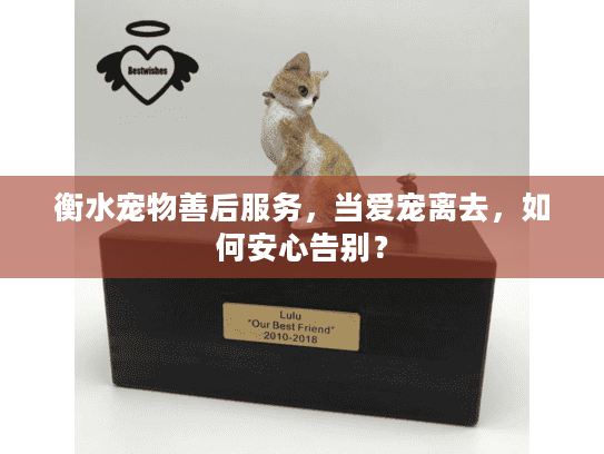 衡水宠物善后服务，当爱宠离去，如何安心告别？